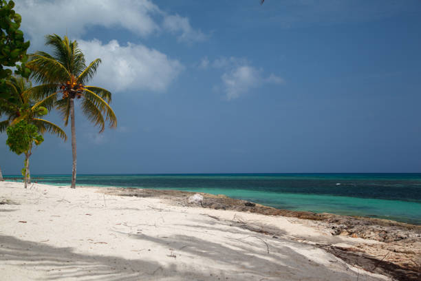 istock Beautiful tranquil Bany beach, Guardalavaca, Holguin province, Cuba 2192204204