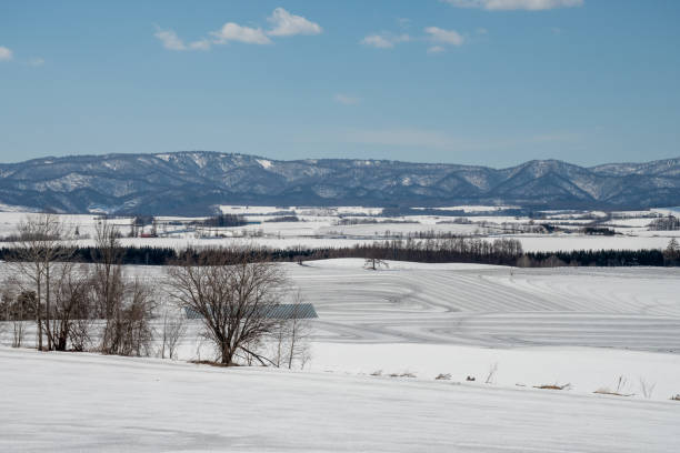 Field in early spring after snow melting agents have been spread