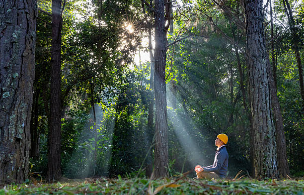 istock Man relaxingly practicing meditation in the pine forest to attain happiness from inner peace wisdom with beam of sun light for healthy mind and soul for healthy manifestation usage 2192210727