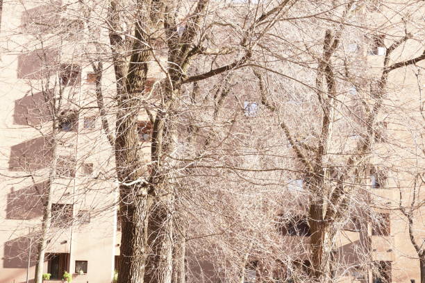 Late autumn early winter, merge of colors on a cold sunny morning in a corner of the Milanese suburbs