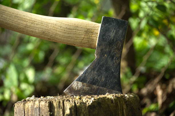 istock Close up of a black hatchet with a wooden handle 2192212365