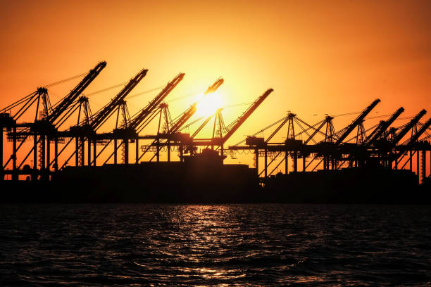 Bayport Texas terminal crane loaders backlit by orange setting sun with four container ships docked along side