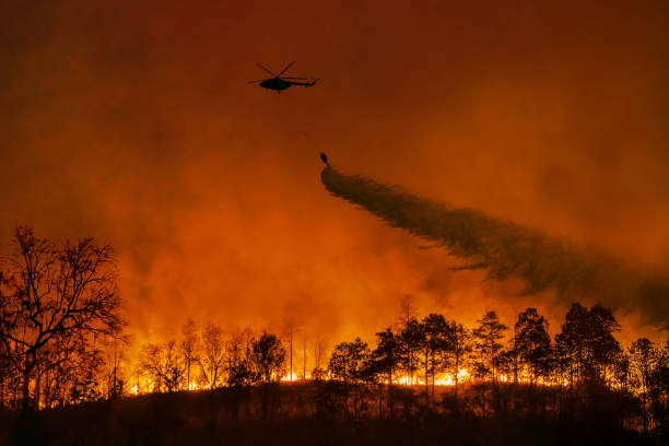 istock Fire fighting helicopter carry water bucket to extinguish the forest fire. 2192221030