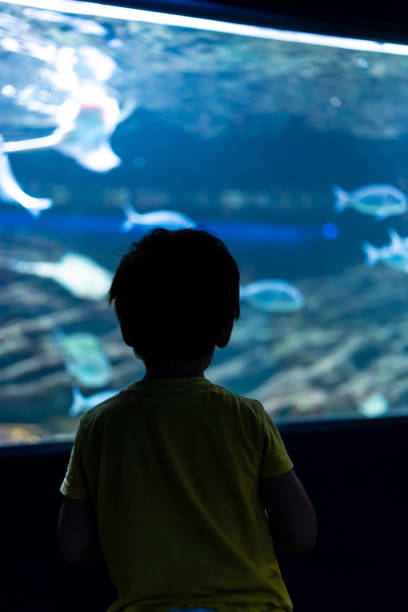istock Kid watching fish swimming in large aquarium tank 2192228576