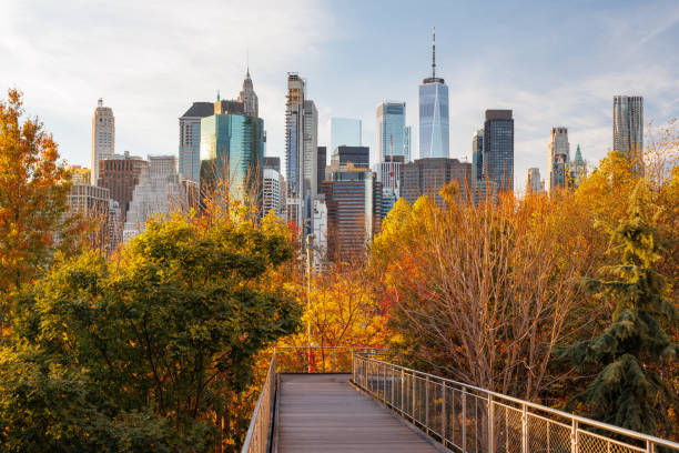 The New York Manhattan skyline during autumn, with iconic skyscrapers framed by golden and orange foliage