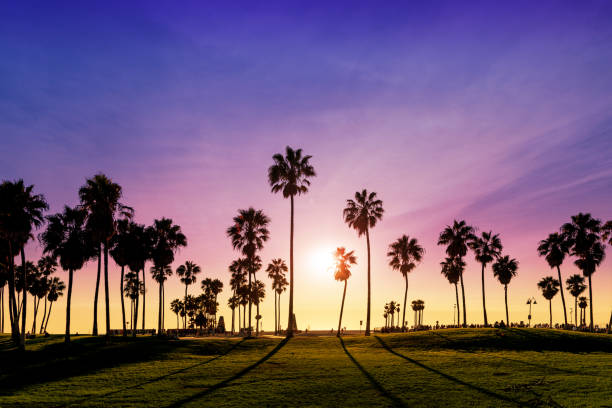 istock A mesmerizing view of Venice Beach at sunset 2192229028