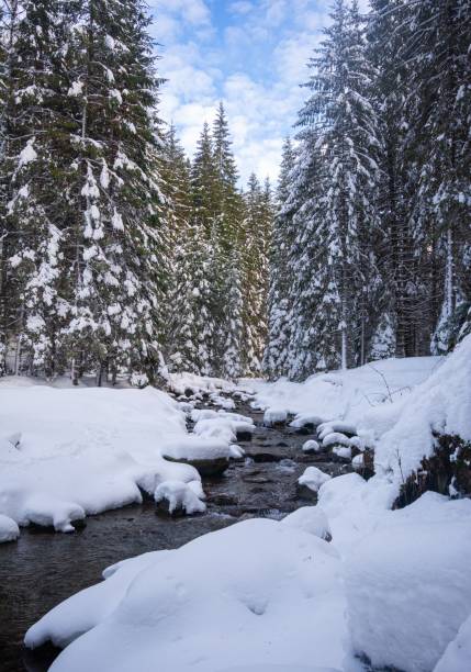 istock Serene winter landscape featuring a snow-covered forest with a flowing stream under a blue sky. 2192231062