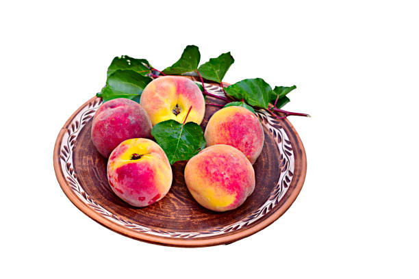 Ripe pink peaches with green leaves lie on a clay plate.