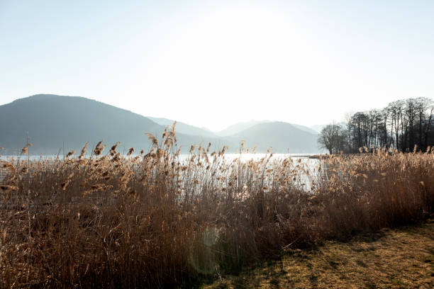 Circular hiking trail lake Tegernsee, Bavaria, Germany, in springtime
