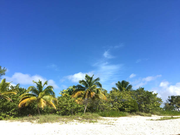tropical travel destinations, nature landscape