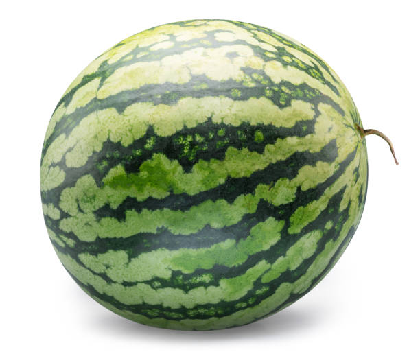 istock Round striped watermelon isolated on white background. Clipping path. 2192241374