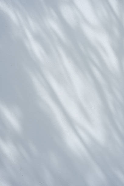 istock White wall decorated by shadows from nearby trees 2192244521