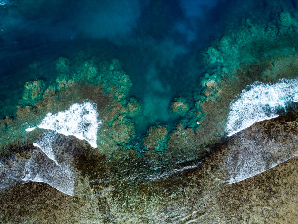 istock Crashing waves on a coral reef 2192246973