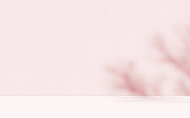 istock Empty brow with pink undertone room studio with sunlight effect shadow for product presentation. 2192247992