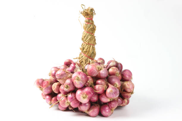 Colorful onion plaits decorated with dried flowers hang at a traditional market stall during the Weimar Onion Market in Germany. A vibrant harvest display showcasing craft, culture, and autumn festivities.
