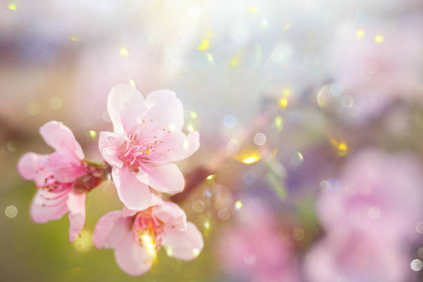 istock Blossoming Flowers with Pollens and Dust Particles 2192249368
