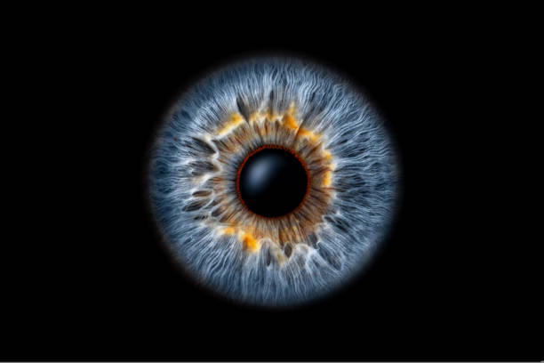istock Close-up of human eye iris on black background 2192252467