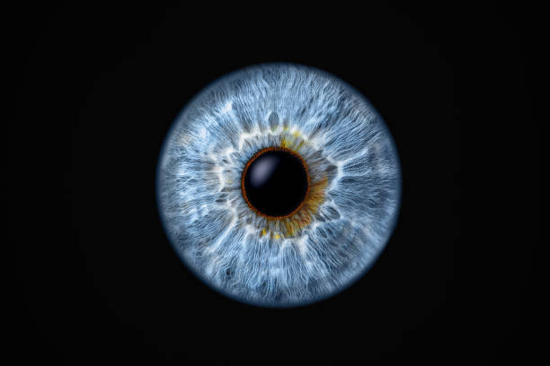 istock Close-up of human eye iris on black background 2192252479