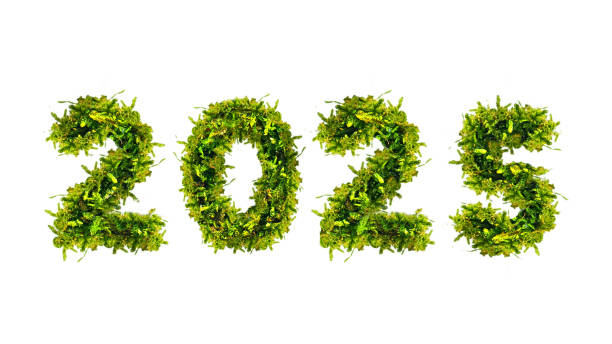 istock 2025 new year for environmental protection, green 2025 made from moss 2192252683
