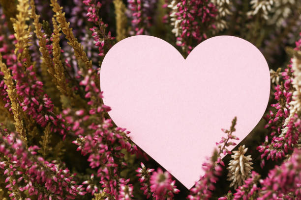 istock Lavender love background. Heart shape design created by blooming lavender flowers. Romantic and serene atmosphere. 2192257033