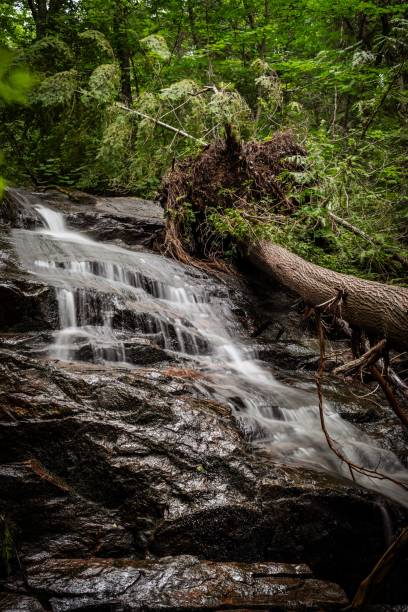istock Serene waterfall cascading over rocks in a lush, green forest landscape. 2192259970