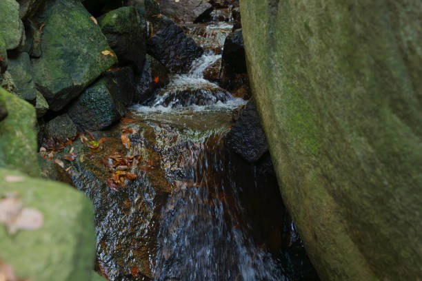 istock Waterfall, water falling from rocks, drops of water, nature 2192264856