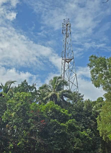 istock Phone mast in rainforerst 2192266769