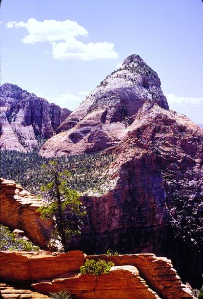 istock Zion National Park Utah June 1983.  Observation Point Trail. 2192267461