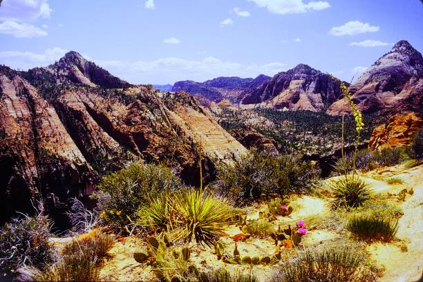 istock Zion National Park Utah June 1983.  Observation Point Trail. 2192267487