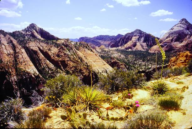 istock Zion National Park Utah June 1983.  Observation Point Trail. 2192267500