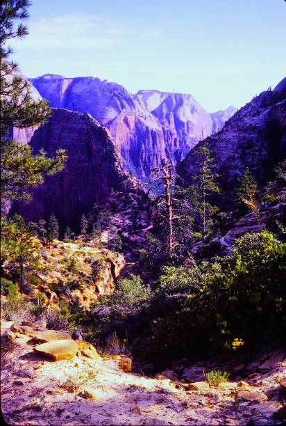 istock Zion National Park Utah June 1983. 2192267511