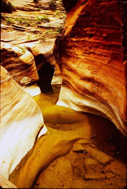 Zion National Park Utah June 1983.