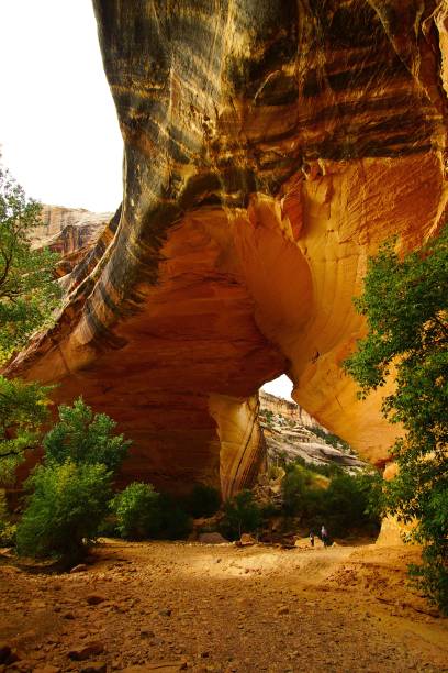 istock Natural Bridges National Monument Utah 2192268030
