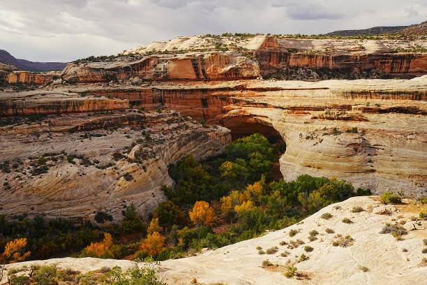 istock Natural Bridges National Monument Utah 2192268032