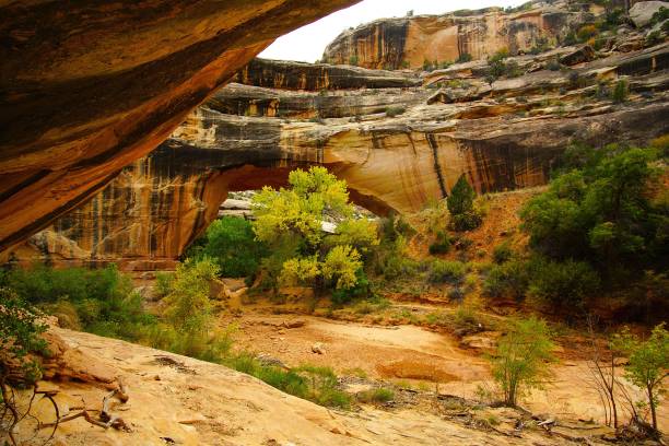istock Natural Bridges National Monument Utah 2192268040