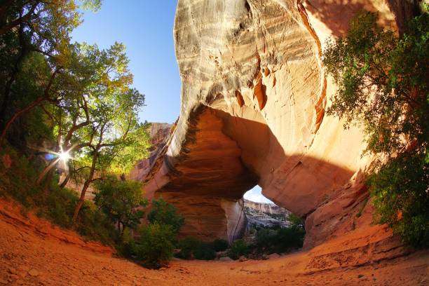 istock Natural Bridges National Monument Utah 2192268062