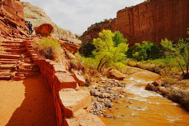 istock Capital Reef National Park Utah 2192268199