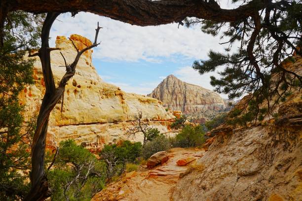 istock Capital Reef National Park Utah 2192268211