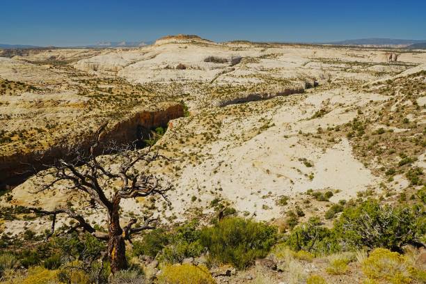 istock Grand Staircase Escalante National Monument Utah 2192268227