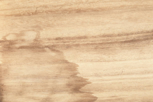 istock Natural old wood texture macro closeup 2192269094