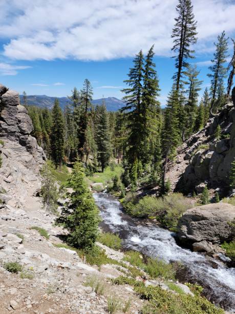 River Flowing Through Forest With Mountain Ranges In Lassen Volcanic National Park