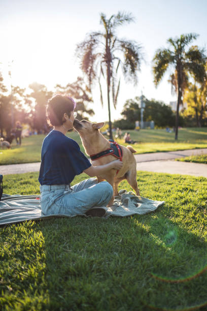 istock Japanese and their dog sharing a moment in a sunny park setting 2192278397