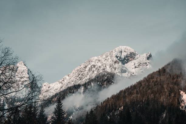 istock Snowy mountain landscape with mist and trees. 2192280091