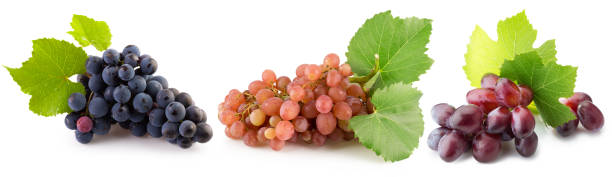 istock set of grapes isolated on a white background 2192283619