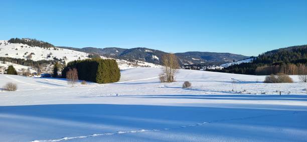 istock Winter Wonderland Panorama 2192283950