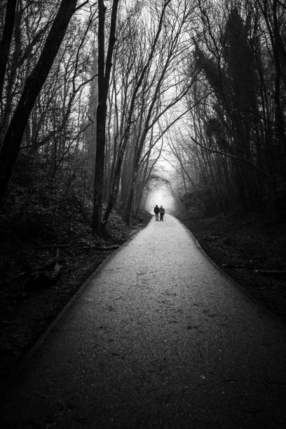 Silhouetted couple walks hand in hand down a misty forest path a peaceful and contemplative mood.