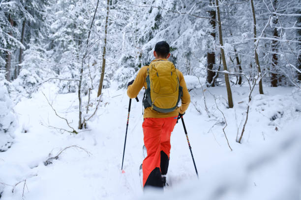 istock Backcountry skier ascends trail in forest 2192287971