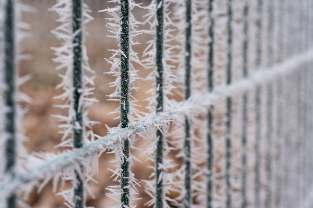 A close-up of a metal fence with vertical bars, adorned with sharp frost crystals. The icy patterns highlight the detailed texture, creating a striking contrast against the blurred background.