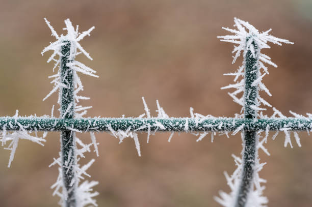 istock Frost-covered metal fence with sharp ice crystals in winter 2192293773