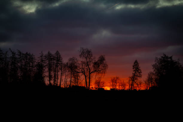 Red sunrise with windfall forest in winter morning near Batelov township